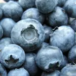 Blueberry, Aliceblue (Rabbiteye)